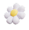 Ages Icon